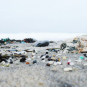 Microplásticos glitter Carnaval